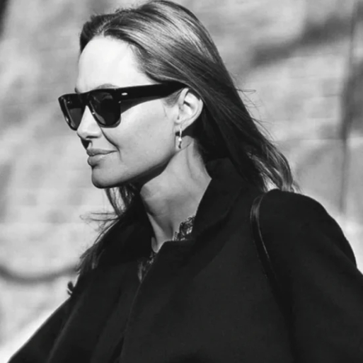 Angelina Jolie indossa gli occhiali da sole Barton Perreira